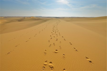 simsearch:600-07431228,k - Footprints on Sand Dune, Matruh Governorate, Libyan Desert, Sahara Desert, Egypt, Africa Stock Photo - Premium Royalty-Free, Code: 600-07279212