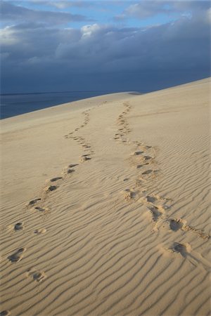 simsearch:600-05524186,k - Footprints on Sand Dune, Dune du Pilat, Arcachon, France Stock Photo - Premium Royalty-Free, Code: 600-07279384