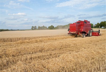 Harvester in wheat field cutting wheat, Germany Foto de stock - Sin royalties Premium, Código: 600-07288018