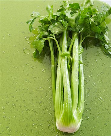 simsearch:600-07311268,k - Wet Celery on Green Background Stock Photo - Premium Royalty-Free, Code: 600-07311257