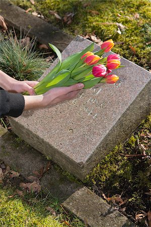 Teenager placing Tulips on Grave Stones in Cemetery Stock Photo - Premium Royalty-Free, Code: 600-07351347