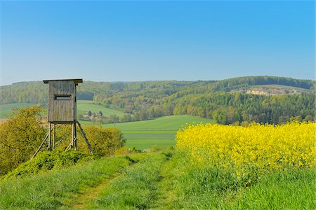 simsearch:600-07519302,k - Hunting Blind in Landscape, Odenwald, Hesse, Germany Stock Photo - Premium Royalty-Free, Code: 600-07561366