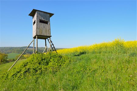 simsearch:600-07519302,k - Hunting Blind on Hill, Odenwald, Hesse, Germany Stock Photo - Premium Royalty-Free, Code: 600-07561367