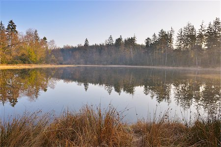 Forest Lake in early Spring, Breitenbuch, Amorbach, Odenwald, Lower Franconia, Bavaria, Germany Stock Photo - Premium Royalty-Free, Code: 600-07591255