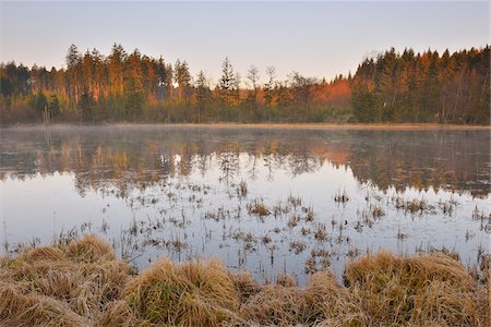 Forest Lake in early Spring, Breitenbuch, Amorbach, Odenwald, Lower Franconia, Bavaria, Germany Stock Photo - Premium Royalty-Free, Code: 600-07591256