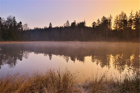 Forest Lake in early Spring, Breitenbuch, Amorbach, Odenwald, Lower Franconia, Bavaria, Germany Stock Photo - Premium Royalty-Free, Code: 600-07591252