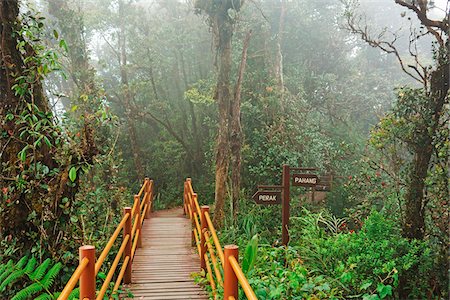 signpost - Mossy Forest, Gunung Brinchang, Cameron Highlands, Pahang, Malaysia Stock Photo - Premium Royalty-Free, Code: 600-07656481