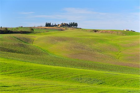 simsearch:700-07674836,k - Countryside with Farmhouse, Pienza, Val d'Orcia, Province of Siena, Tuscany, Italy Photographie de stock - Premium Libres de Droits, Code: 600-07674824