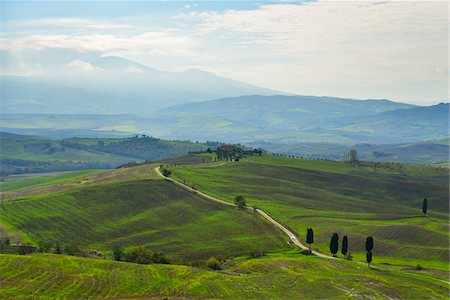 simsearch:700-07674836,k - Countryside, Pienza, Val d'Orcia, Province of Siena, Tuscany, Italy Stock Photo - Premium Royalty-Free, Code: 600-07674826