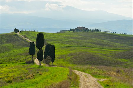 simsearch:700-07674836,k - Tuscany Countryside with Cypress Trees, Pienza, Val d'Orcia, Province of Siena, Tuscany, Italy Stock Photo - Premium Royalty-Free, Code: 600-07674827