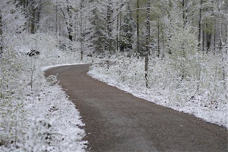 simsearch:600-07810455,k - Lanscape of Road through Forest in Early Spring, Bavarian Forest National Park, Bavaria, Germany Stock Photo - Premium Royalty-Free, Code: 600-07671991