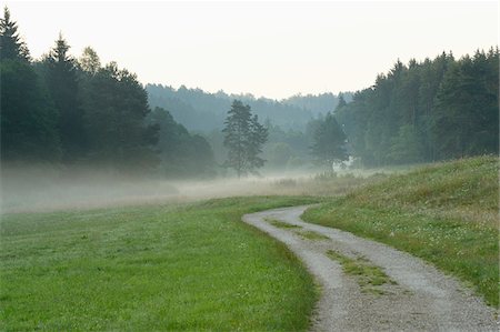 Landscape with Trail through Valley in Early Morning in Summer, Bavaria, Germany Foto de stock - Sin royalties Premium, Código: 600-07707677