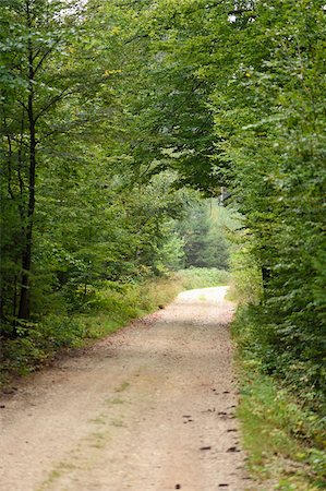 simsearch:600-07599912,k - Scenic of a little road going through the forest in early autumn, Upper Palatinate, Bavaria, Germany Stock Photo - Premium Royalty-Free, Code: 600-07783757