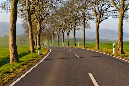 Country road in the morning, Echte, Kalefeld, Harz, Lower Saxony, Germany Stock Photo - Premium Royalty-Free, Code: 600-07802691