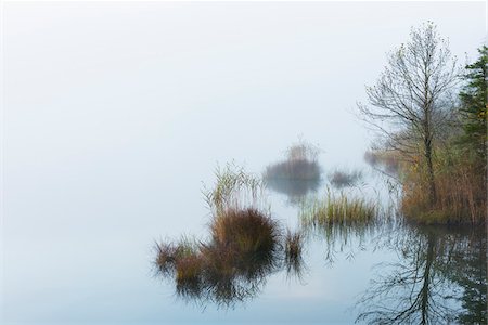 Lake Barmsee in Morning Mist, Werdenfelser Land, Upper Bavaria, Bavaria, Germany Stock Photo - Premium Royalty-Free, Code: 600-07802845