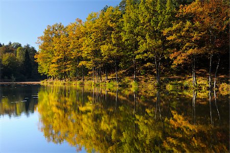 simsearch:600-05973842,k - Lake with Trees in Autumn, Studenbach, Eppenbrunn, Pfalzerwald, Rhineland-Palatinate, Germany Stock Photo - Premium Royalty-Free, Code: 600-07844592