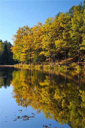 simsearch:600-04424934,k - Lake with Trees in Autumn, Studenbach, Eppenbrunn, Pfalzerwald, Rhineland-Palatinate, Germany Stock Photo - Premium Royalty-Free, Code: 600-07844593