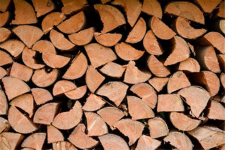 simsearch:600-07848052,k - Close-up of stacked firewood in autumn, Upper Palatinate, Bavaria, Germany Stock Photo - Premium Royalty-Free, Code: 600-07911233