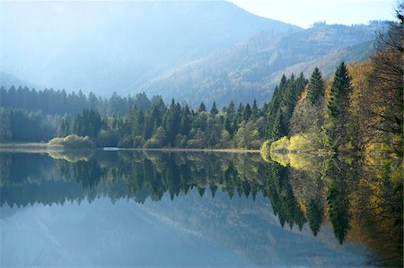 simsearch:600-08138898,k - Landscape of Norway Spruce (Picea abies) Trees beside Langbathsee in Autumn, Austria Stockbilder - Premium RF Lizenzfrei, Bildnummer: 600-07944994
