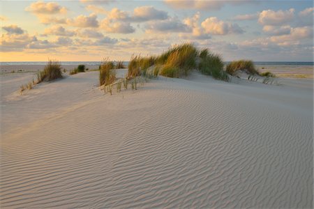 patterns in landscape - Dunes in Summer at sunset, Norderney, East Frisia Island, North Sea, Lower Saxony, Germany Stock Photo - Premium Royalty-Free, Code: 600-07945220