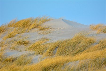 Sand Dunes, Helgoland, Dune, North Sea Island, Schleswig Holstein, Germany Stock Photo - Premium Royalty-Free, Code: 600-07945344