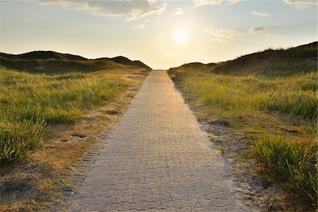 simsearch:600-07945357,k - Dunes Path with Sun in Summer, Norderney, East Frisia Island, North Sea, Lower Saxony, Germany Stock Photo - Premium Royalty-Free, Code: 600-07945356