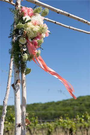 Flowers on Wooden Archway for Wedding, Niagara-on-the-Lake, Ontario, Canada Stock Photo - Premium Royalty-Free, Code: 600-07966160