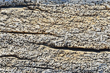 drift wood - Driftwood Detail, Saintes-Maries-de-la-Mer, Camargue, Bouches-du-Rhone, Provence-Alpes-Cote d'Azur, France Stock Photo - Premium Royalty-Free, Code: 600-07968223