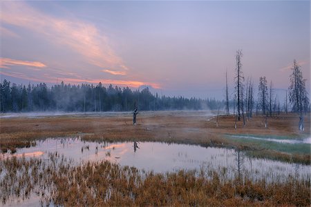 simsearch:846-05646687,k - Mist with Dead Trees and Pond at Sunrise, Firehole Lake Drive, Yellowstone National Park, Wyoming, USA Stock Photo - Premium Royalty-Free, Code: 600-08002206