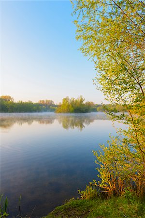 simsearch:600-07599957,k - Lake with mist and Trees in Early Morning Light, Early Spring, Hanau, Erlensee, Germany Stock Photo - Premium Royalty-Free, Code: 600-08002609