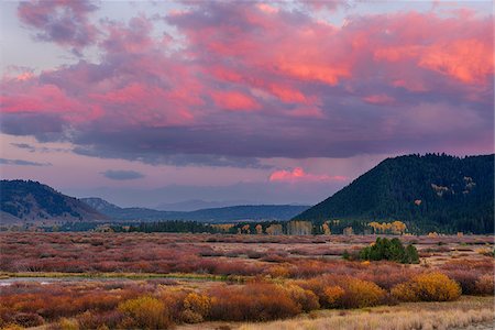 simsearch:600-06847380,k - Willow Flats at Sunset, Grand Teton National Park, Wyoming, USA Stock Photo - Premium Royalty-Free, Code: 600-08082872