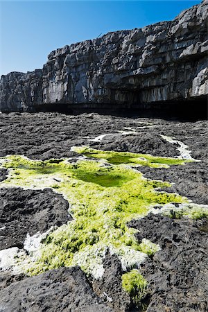 rocky terrain - Coastal cliffs with moss growing on rocky shoreline, Aran Islands, Republic of Ireland Stock Photo - Premium Royalty-Free, Code: 600-08102757