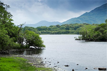 Scenic view of Killarney National Park, County Kerry, Republic of Ireland Stock Photo - Premium Royalty-Free, Code: 600-08102760