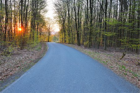 Country Road at Sunrise in Spring, Schippach, Miltenberg, Odenwald, Bavaria, Germany Stock Photo - Premium Royalty-Free, Code: 600-08232263