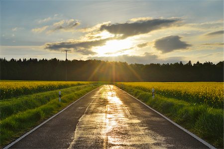 simsearch:600-08232277,k - Rural Road with Canola Field and Sun in Spring, Reichartshausen, Amorbach, Odenwald, Bavaria, Germany Stock Photo - Premium Royalty-Free, Code: 600-08232289