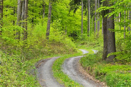 Winding Gravel Road in Forest in Spring, Miltenberg, Miltenberg District, Churfranken, Franconia, Bavaria, Germany Photographie de stock - Premium Libres de Droits, Code: 600-08232283