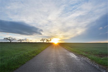 sun rise field - Rural Road at Sunrise, Schippach, Miltenberg, Odenwald, Bavaria, Germany Stock Photo - Premium Royalty-Free, Code: 600-08232295