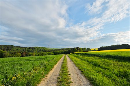 simsearch:600-08232277,k - Gravel Road in Countryside in Spring, Reichartshausen, Amorbach, Odenwald, Bavaria, Germany Stock Photo - Premium Royalty-Free, Code: 600-08232300