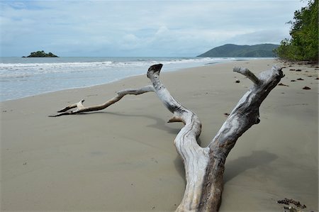 drift wood - Driftwood on Beach, Newell Beach, Newell, Queensland, Australia Stock Photo - Premium Royalty-Free, Code: 600-08312086