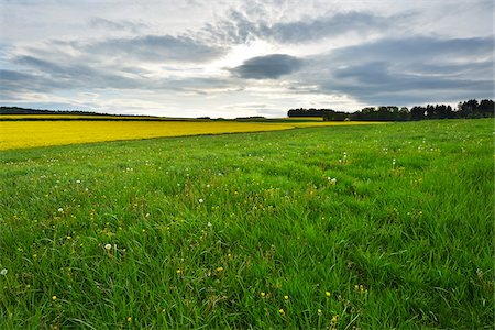 simsearch:600-08232277,k - Countryside with Meadow in Spring, Reichartshausen, Amorbach, Odenwald, Bavaria, Germany Stock Photo - Premium Royalty-Free, Code: 600-08353532