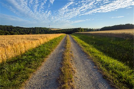 simsearch:600-03171596,k - Countryside with Path through Field in Summer, Reichartshausen, Miltenberg District, Bavaria, Germany Stock Photo - Premium Royalty-Free, Code: 600-08386231