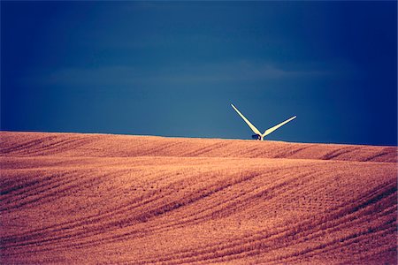 simsearch:600-08169205,k - Wind turbine blades sticking up above cut grain field, Canada Stock Photo - Premium Royalty-Free, Code: 600-08523358