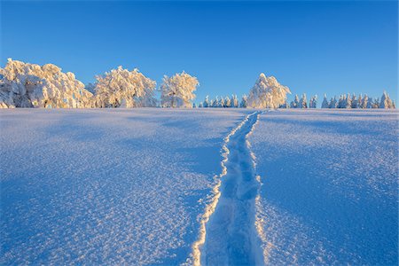 Snow Covered Landscape with Tracks in the Snow in Winter, Schauinsland, Black Forest, Freiburg im Breisgau, Baden-Wurttemberg, Germany Stock Photo - Premium Royalty-Free, Code: 600-08723061
