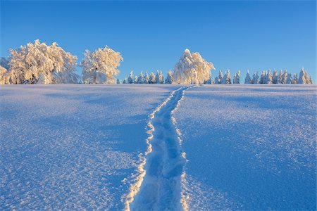 Snow Covered Landscape with Tracks in the Snow in Winter, Schauinsland, Black Forest, Freiburg im Breisgau, Baden-Wurttemberg, Germany Foto de stock - Sin royalties Premium, Código: 600-08723062