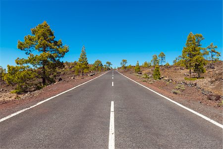 Road through Volcanic Landscape with Pine Trees in Parque Nacional del Teide, Tenerife, Canary Islands, Spain Stock Photo - Premium Royalty-Free, Code: 600-08783070