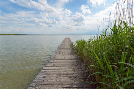 Wooden Jetty with Reeds at Weiden am See, Lake Neusiedl, Burgenland, Austria Fotografie stock - Premium Royalty-Free, Codice: 600-08783090