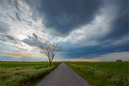 Road through Field with Storm Clouds in Tadten, Burgenland, Austria Photographie de stock - Premium Libres de Droits, Code: 600-08783102