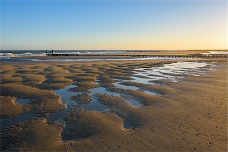 seawall - Wooden Breakwater on Sandy Beach at Low Tide, Domburg, North Sea, Zeeland, Netherlands Stock Photo - Premium Royalty-Free, Code: 600-08865355