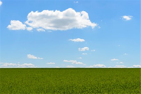 simsearch:600-07519302,k - Grainfield with Sky and Clouds in Spring, Baden-Wurttemberg, Germany Stock Photo - Premium Royalty-Free, Code: 600-08865366