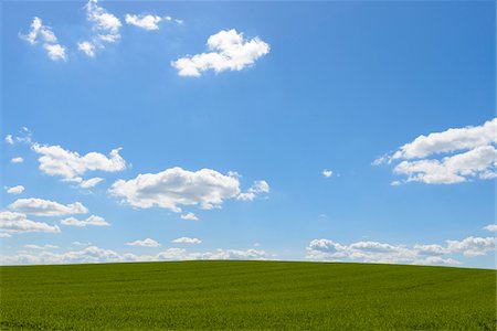 simsearch:600-07519302,k - Grainfield with Sky and Clouds in Spring, Baden-Wurttemberg, Germany Stock Photo - Premium Royalty-Free, Code: 600-08865367